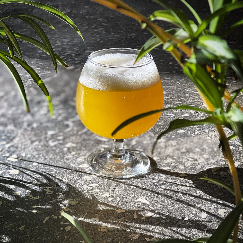 Bingo Bango Mango 12 Bones Brewing