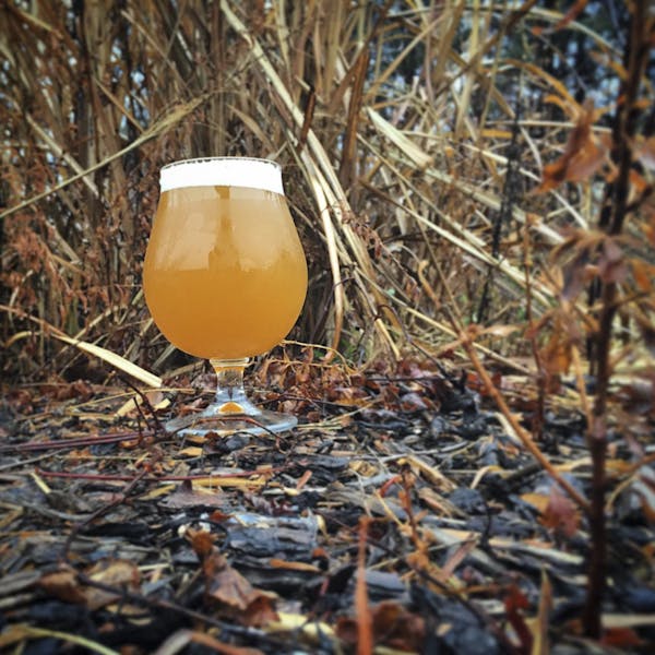 County Line Witbier County Line Witbier