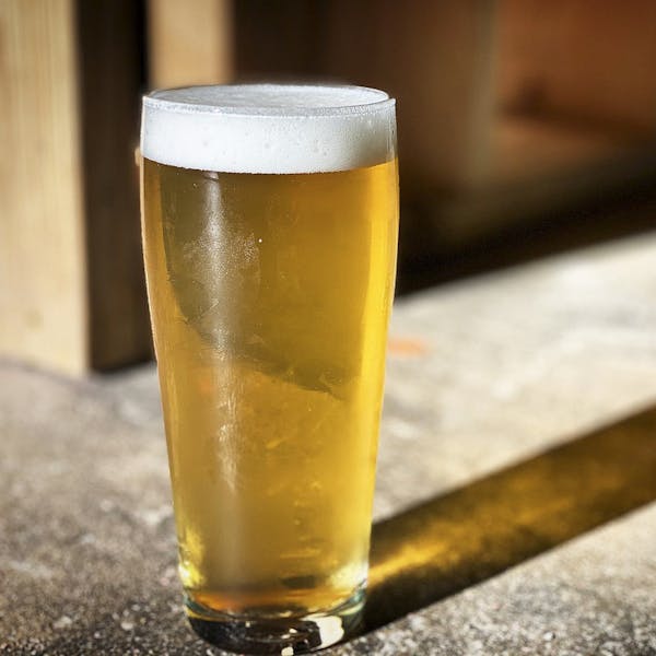 Stay Golden Light Lager Stay Golden Light Lager