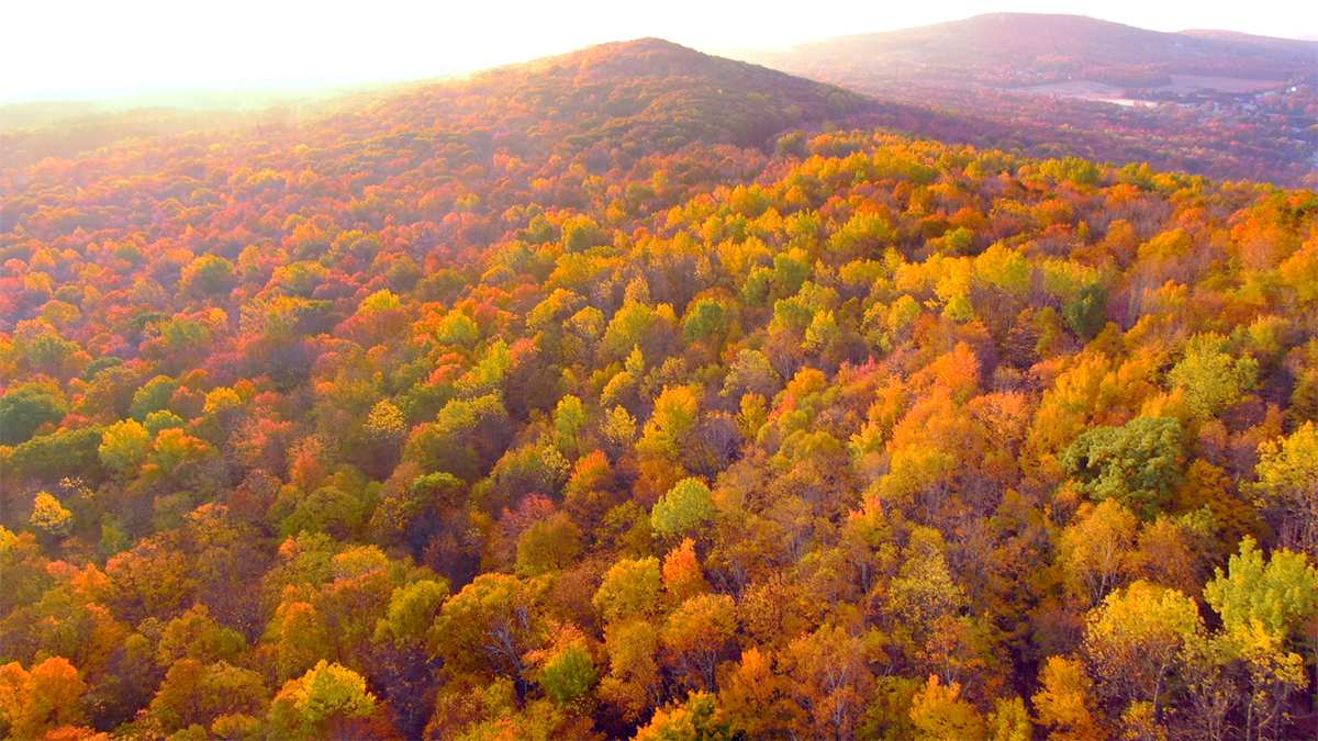 Explore Wisconsin Series 3 Sheeps Brewing