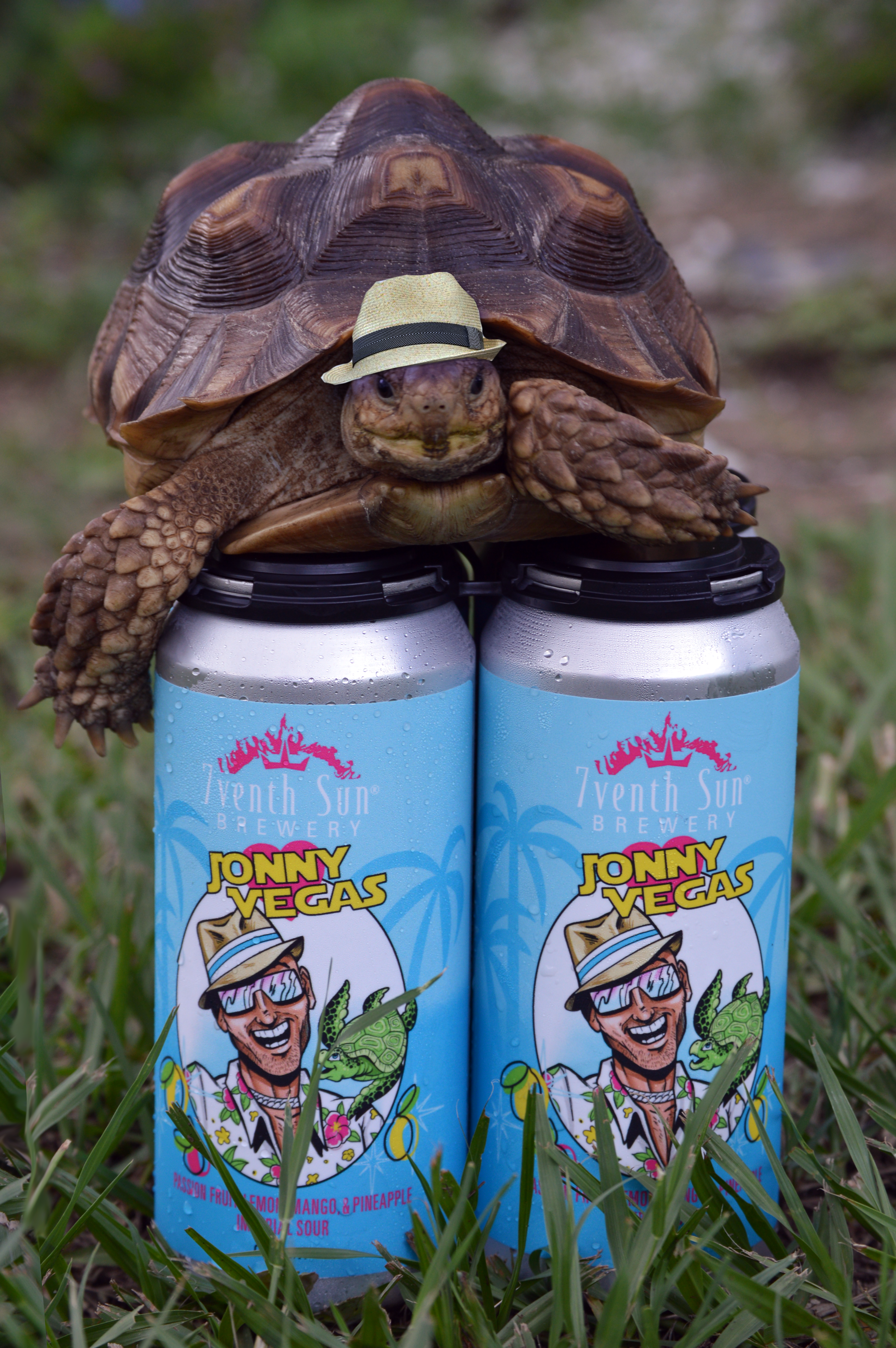 The Jonny Vegas Sour is Back