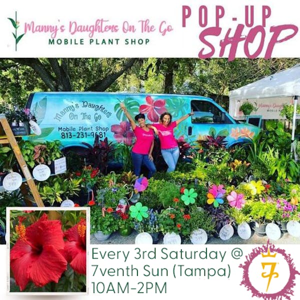 Pop-Plant Shop at 7venth Sun Tampa