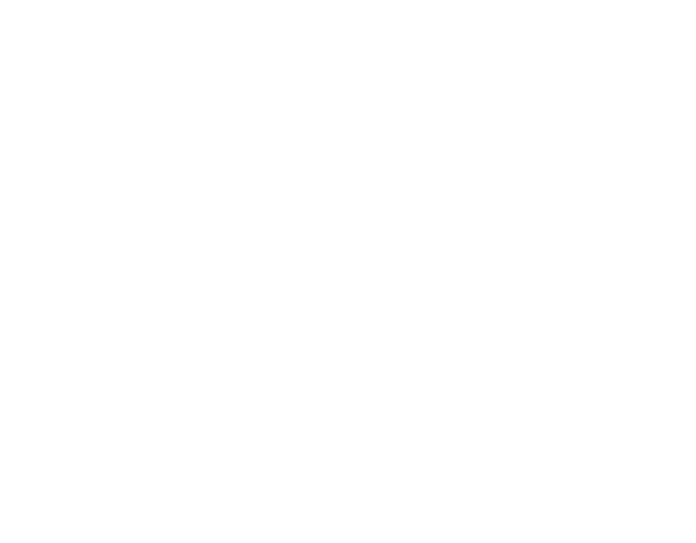 Tiger-head-Logo-2