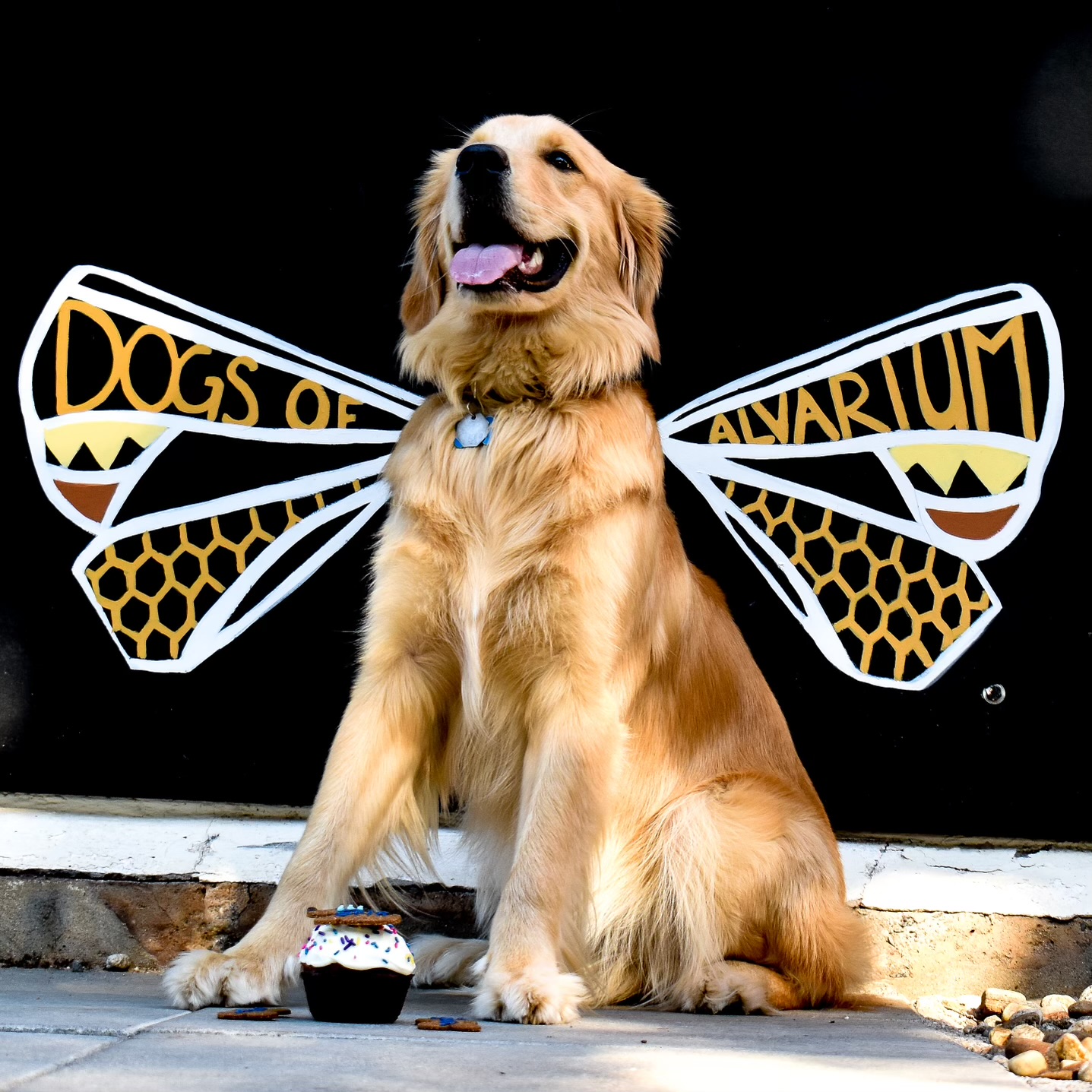 Image for crew member Brix