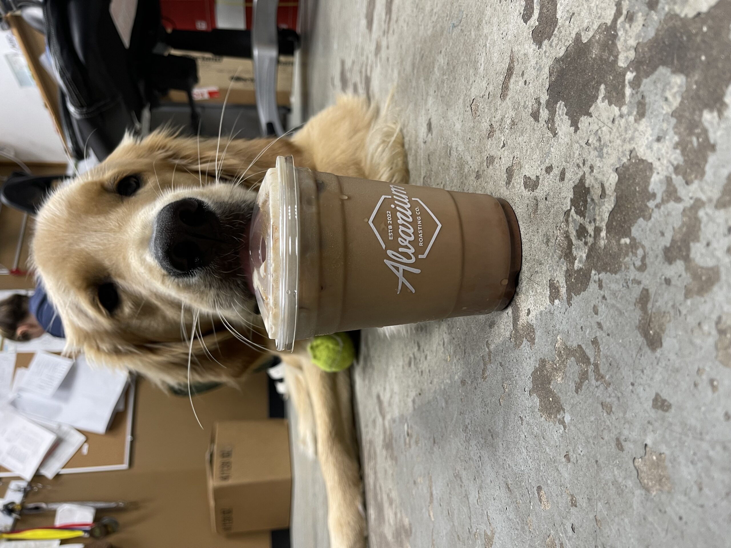 Alternate image for crew member Brix