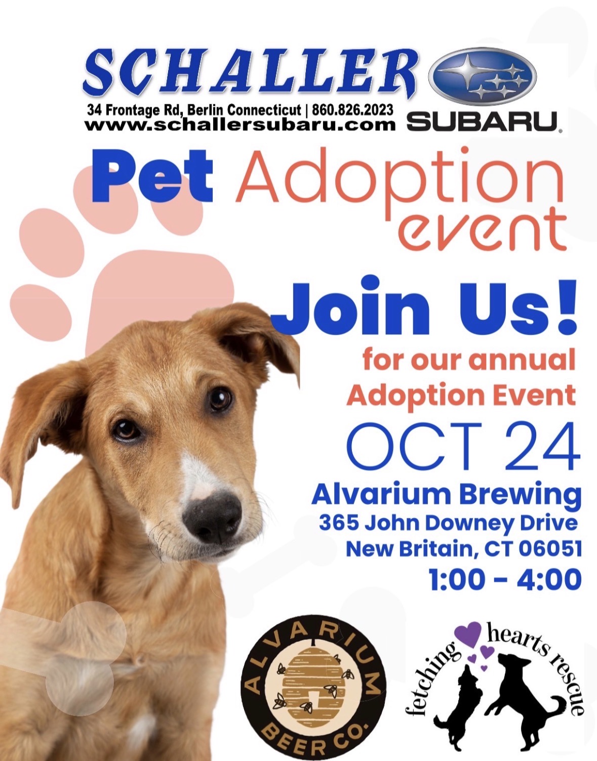 Schaller Subaru- Dog Adoption Event