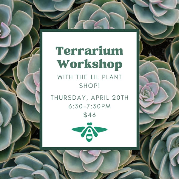 Terrarium Workshop