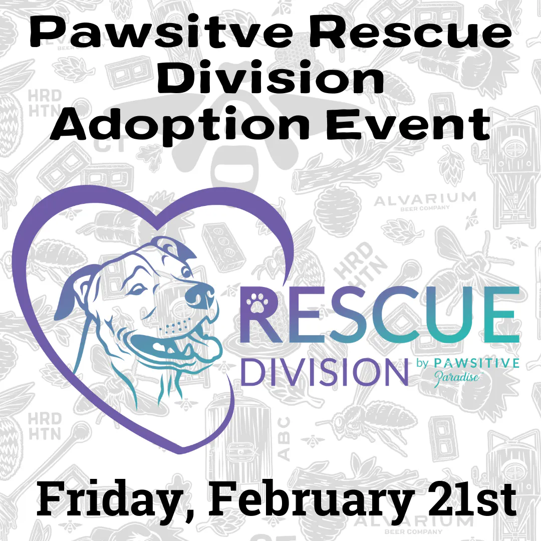 Pawsitive Rescue Division Adoption Event | Alvarium Beer Co.