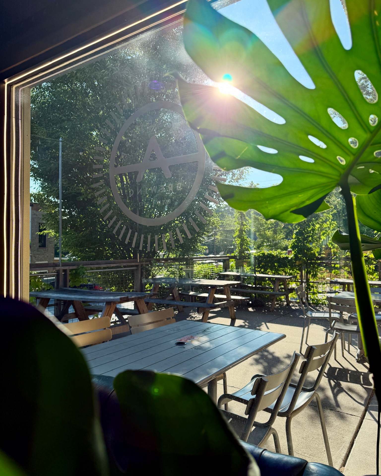 1A0BF82A-E38E-4A95-AD8F-78E2E245218C