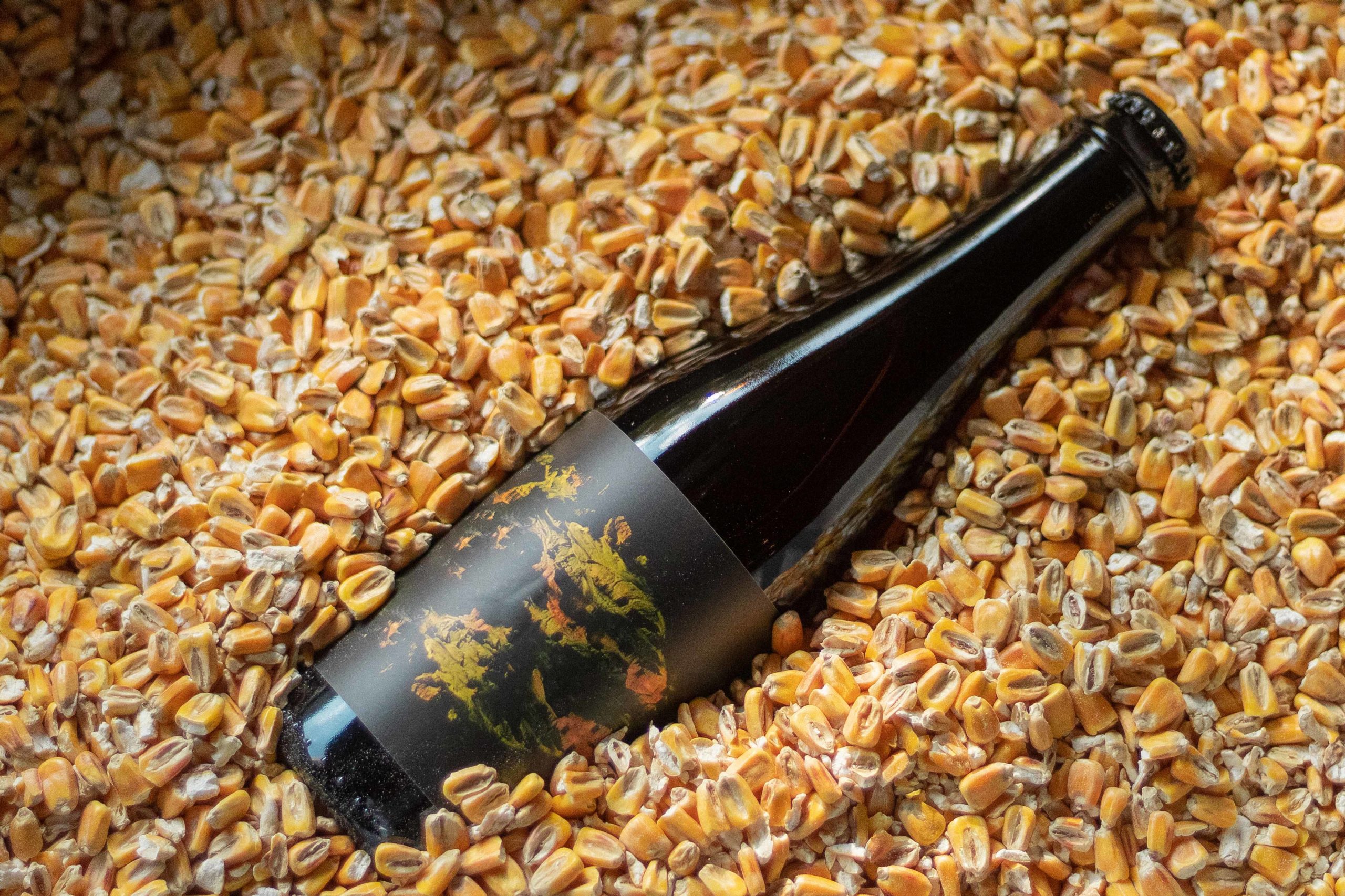 2020_Archetype Brewing Asheville _ Carlos Maldonado Romero_ Carlos Maldonado Romero - 7