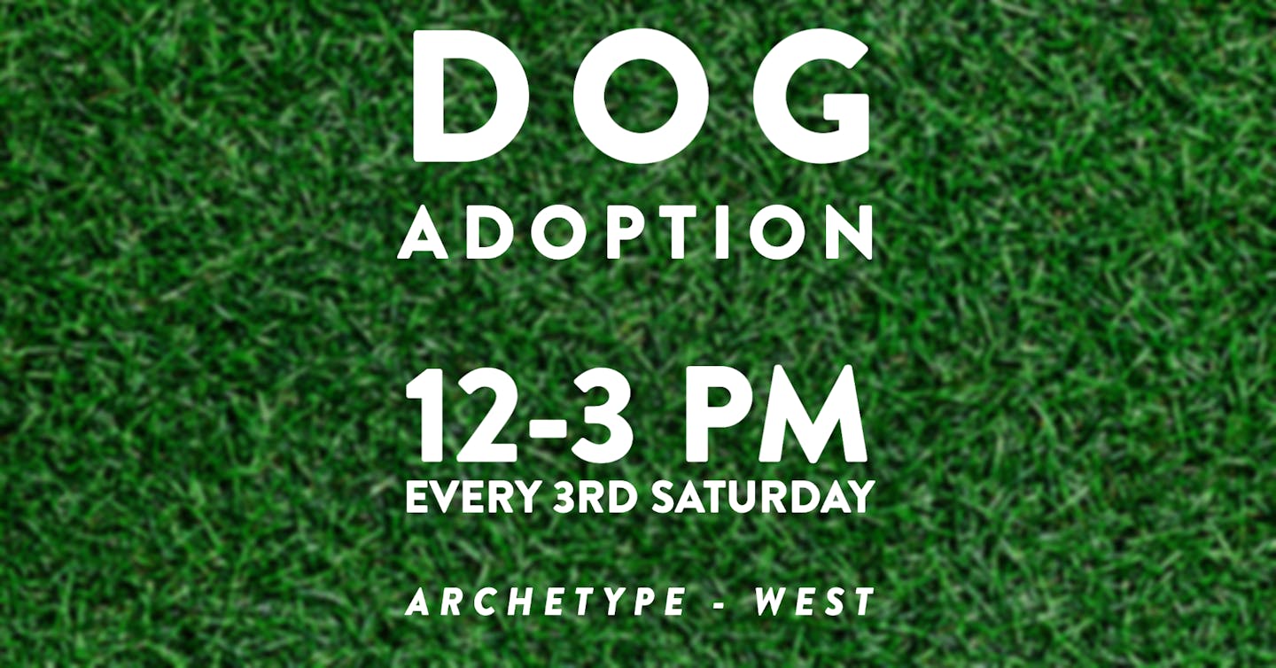 Dog Adoption FBook Event-1