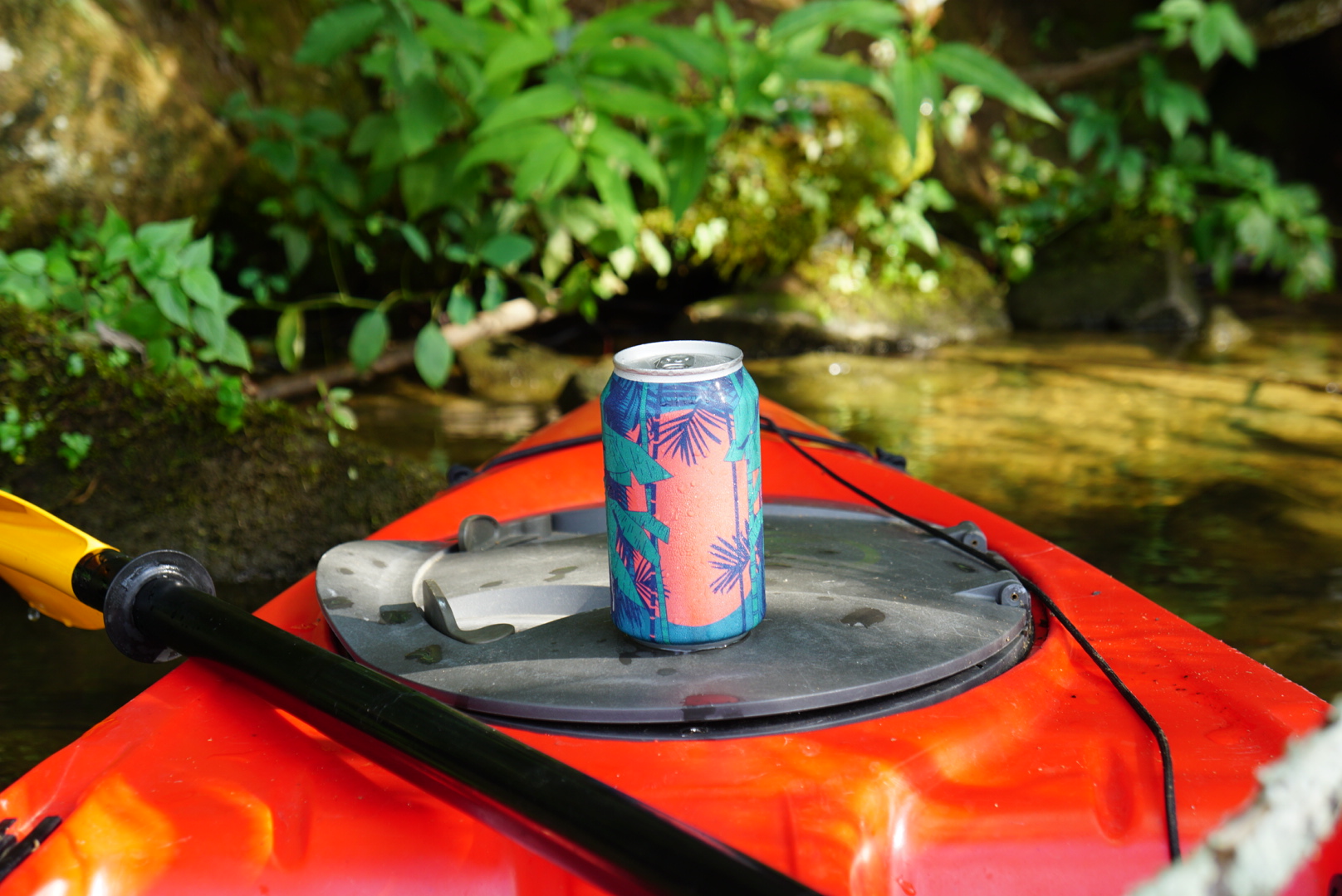 Image or graphic for The Explorer