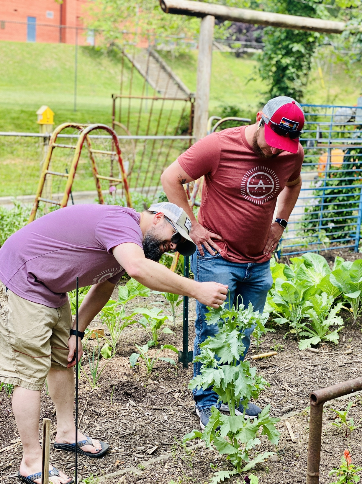 N0H8 Hood Huggers International Archetype Brewing Blue Note Junction Asheville NC