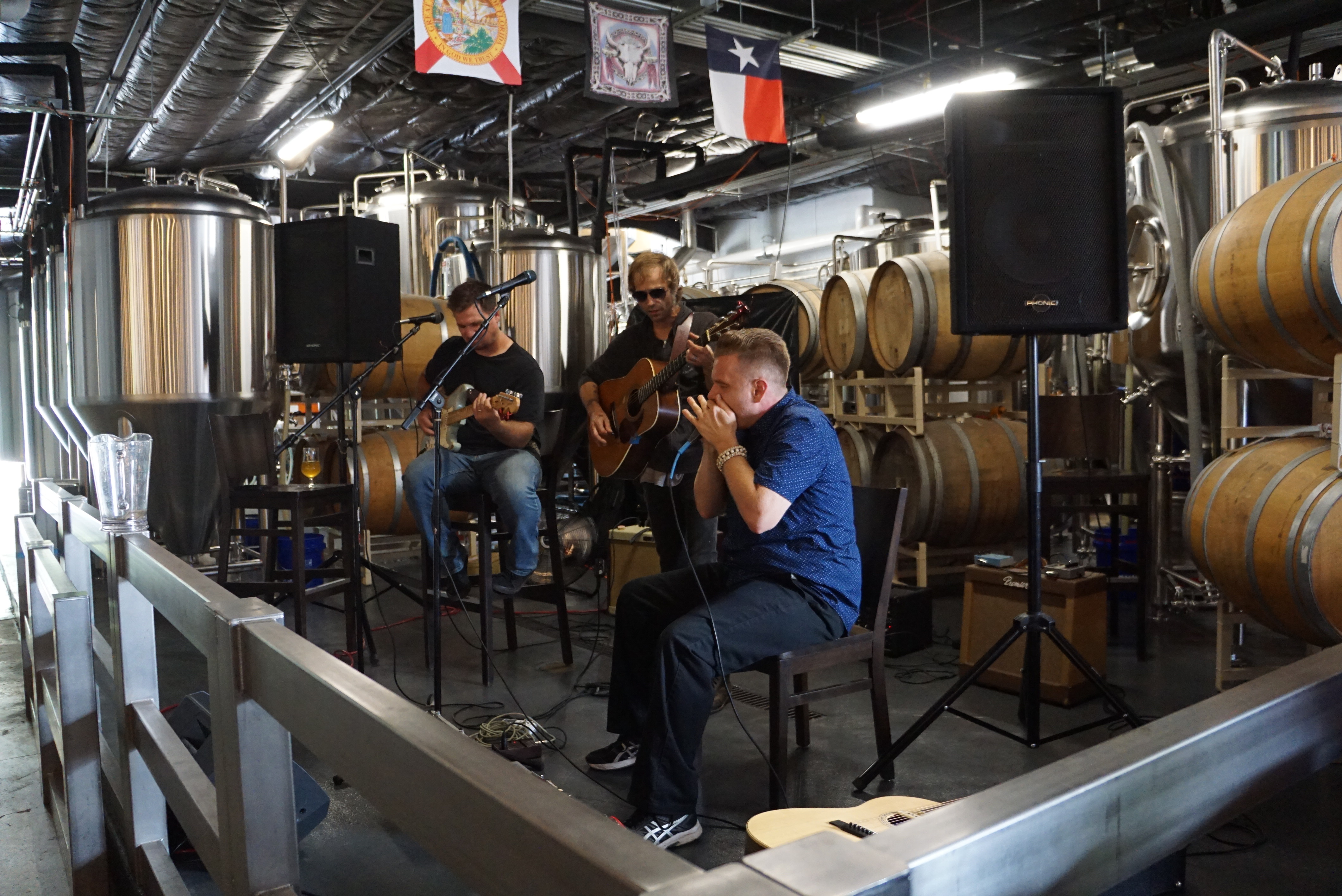 Live Music at Haywood Photo credit Sally Tanner