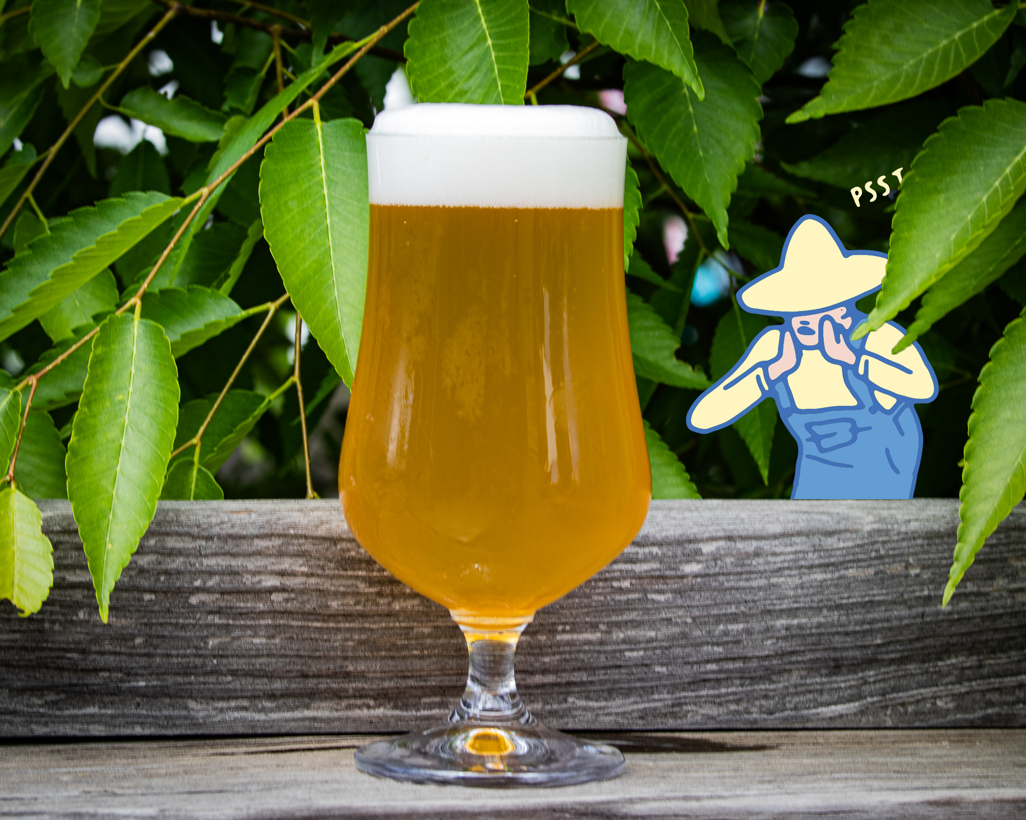 Product Talking to Plants