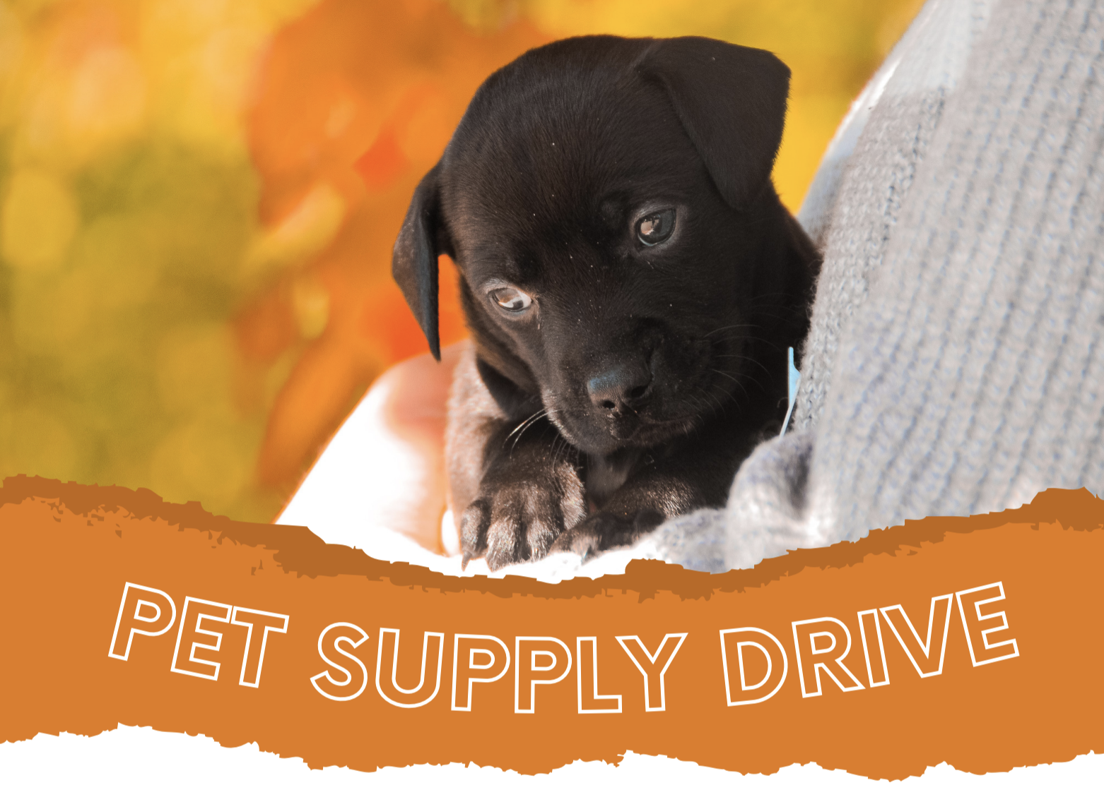 Screen Shot 2021-11-08 at 8.06.04 AM