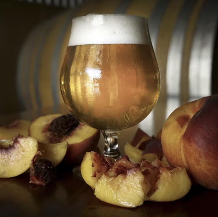 Screen Shot 2023-02-27 at 2.05.00 PM