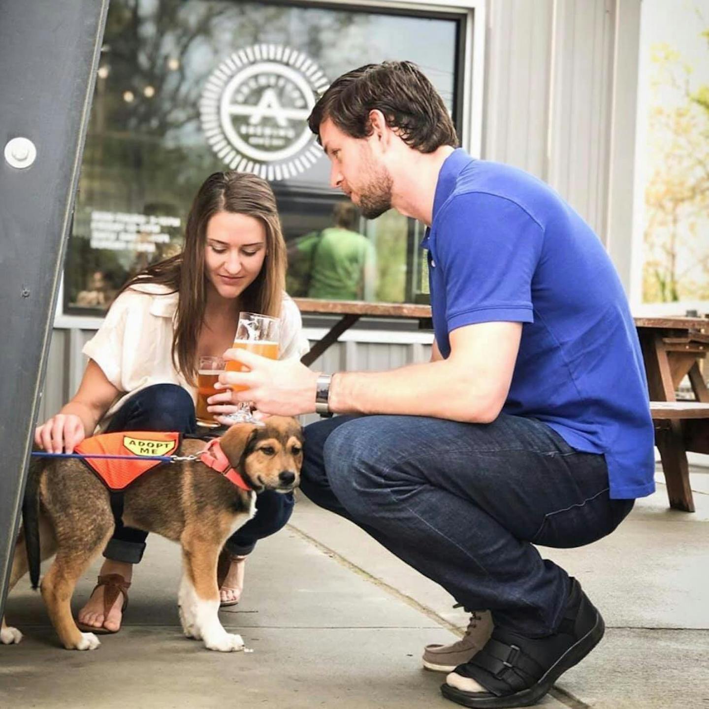adoption dog archetype adoption dog archetype
