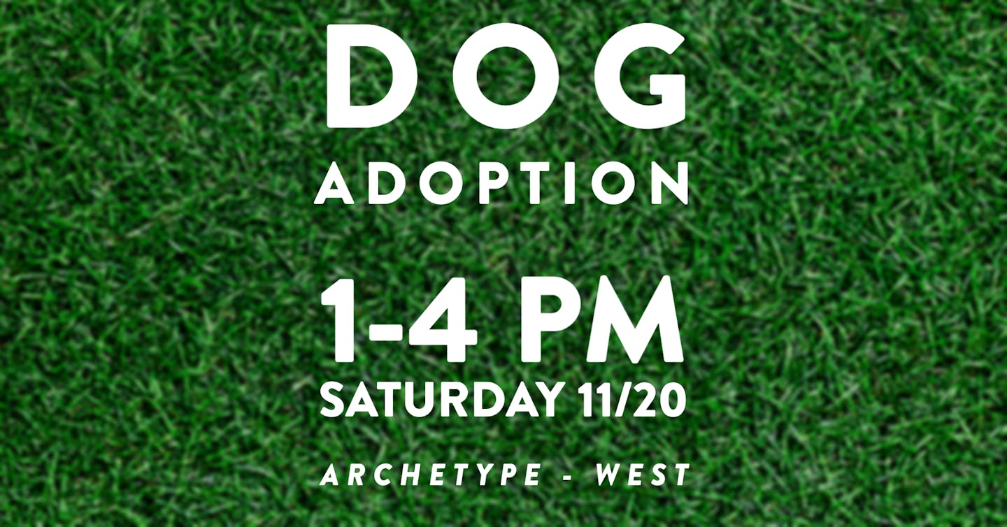 copy of Mountain Pet Rescue Adoption Copy copy (2) copy of Mountain Pet Rescue Adoption Copy copy (2)