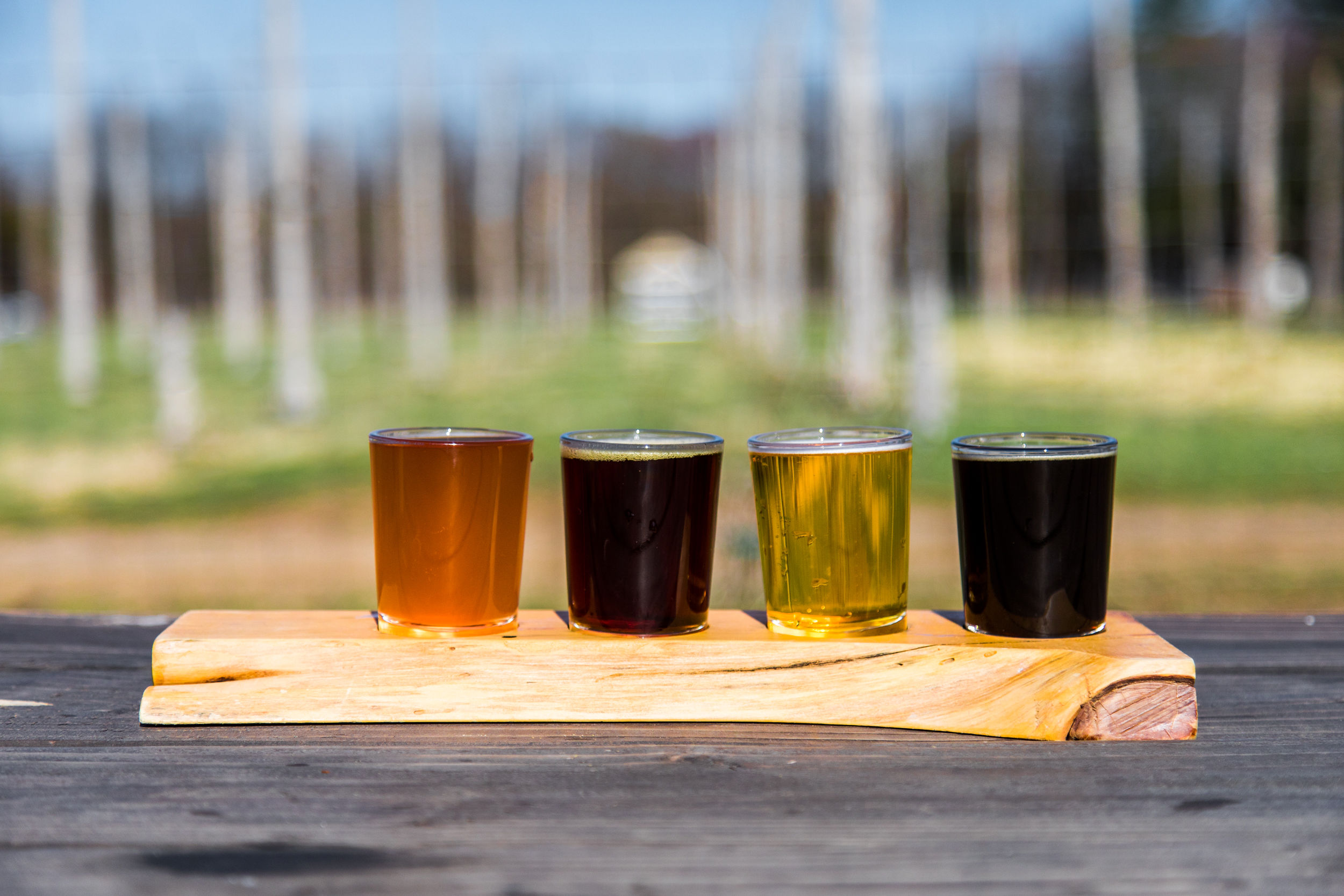 Beers with Mandy: Local Ingredient Brewing in Upstate New York at Arrowood Farms