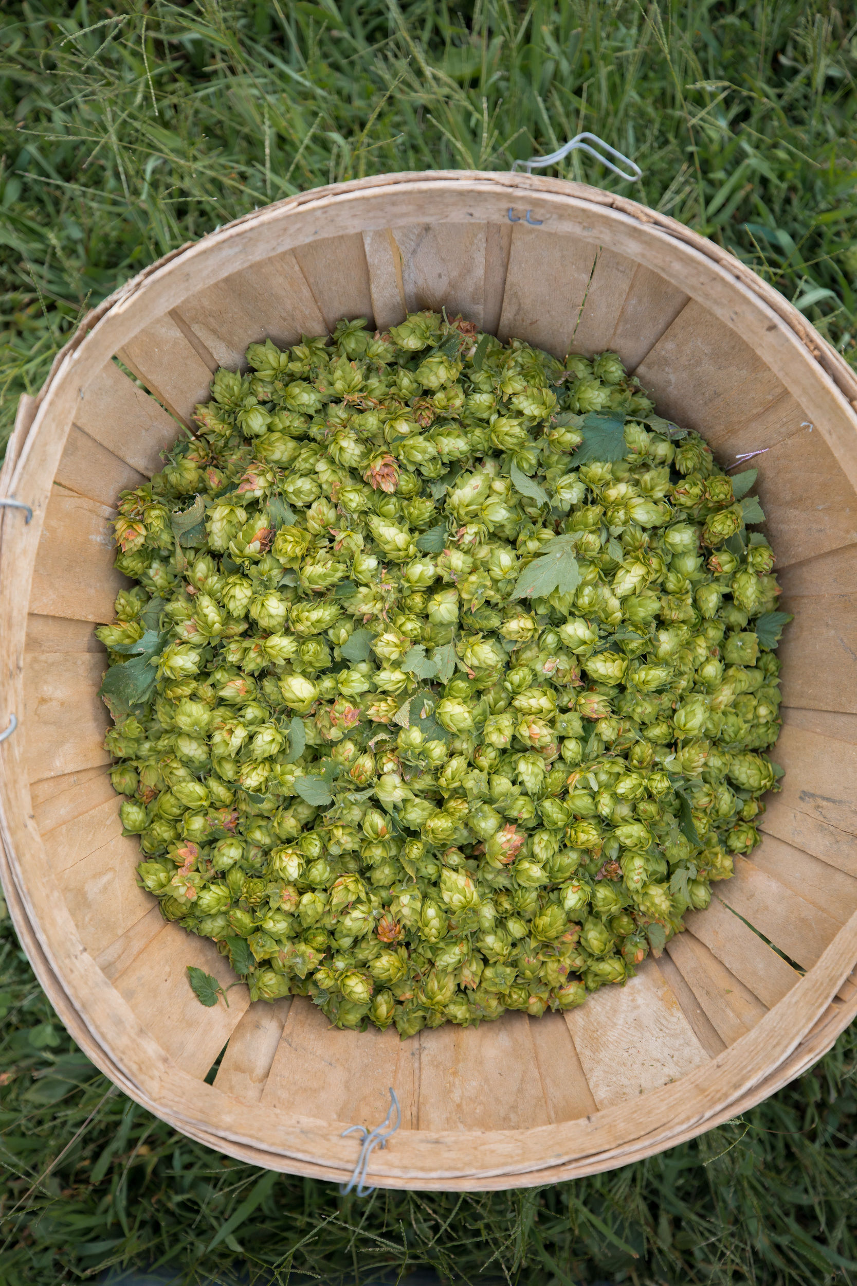 times union: One farmer’s barter for Hudson Valley farmland