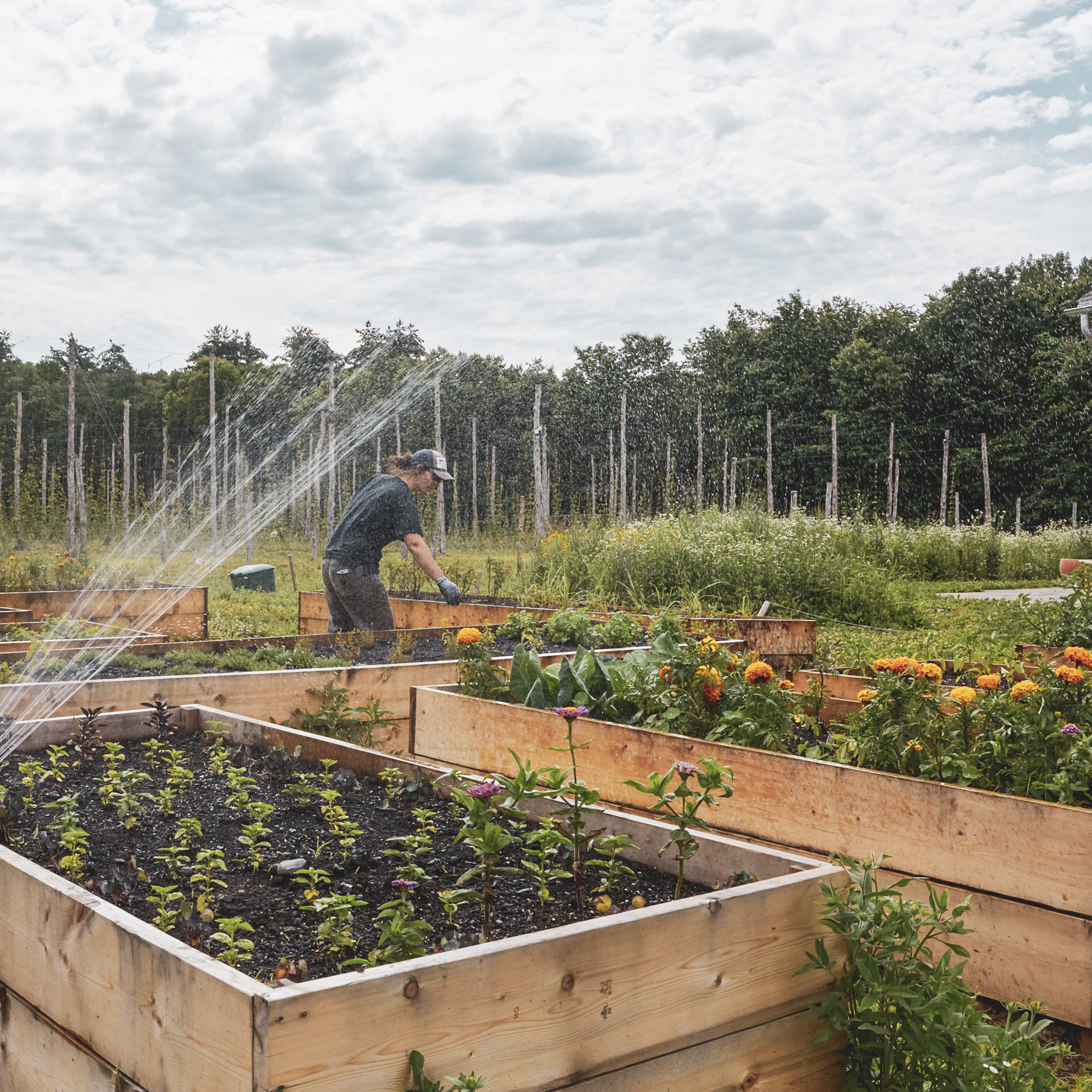 Fueled by Hops: Arrowood Farms Brewery and Distillery Crafts Beer From the Ground Up