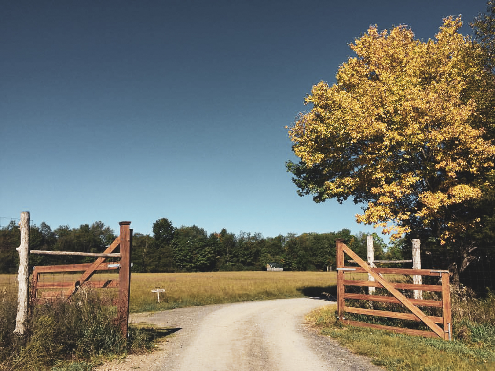 New York Times: Mohonk’s Farm-to-Table Rebirth