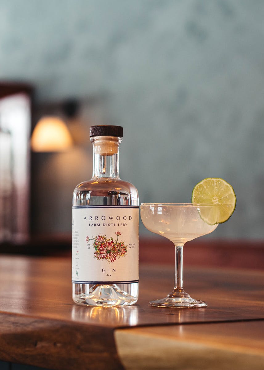 gin-for-bottom-section gin-for-bottom-section