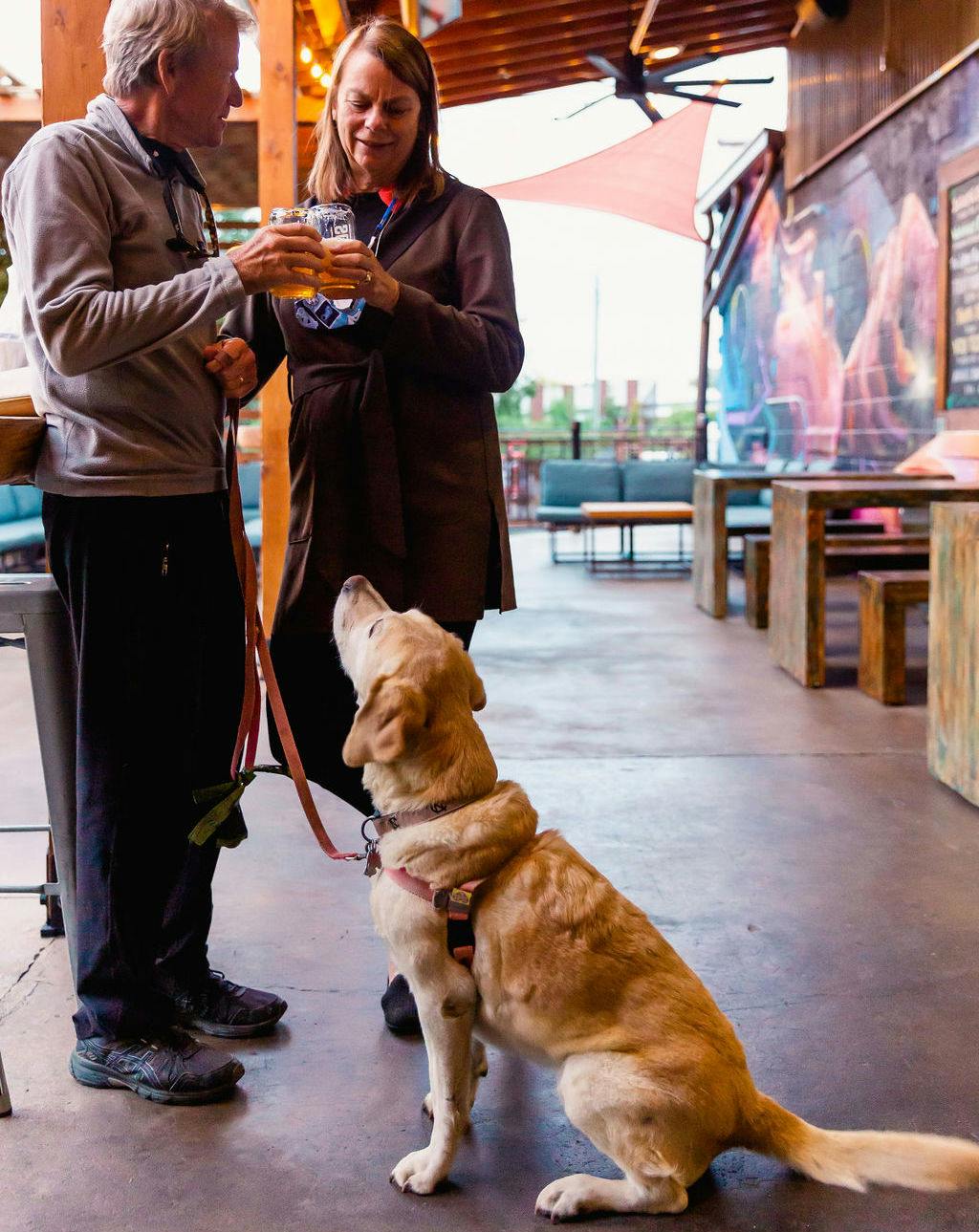 a dog sits and looks at its owner who holds a beer