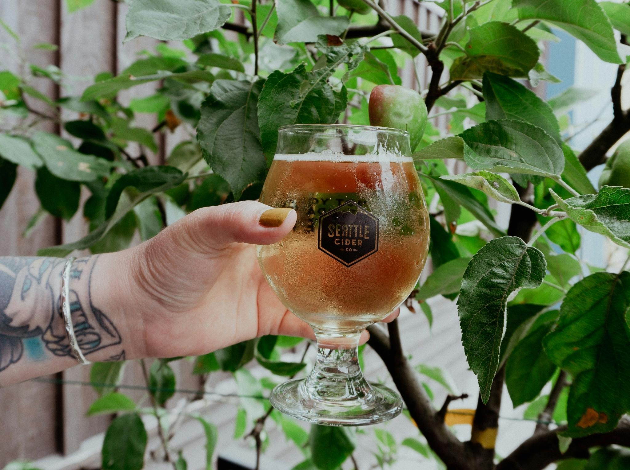 A glass of Seattle Cider Co. cider