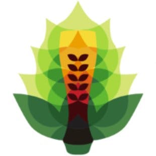 Craft Brewing Business