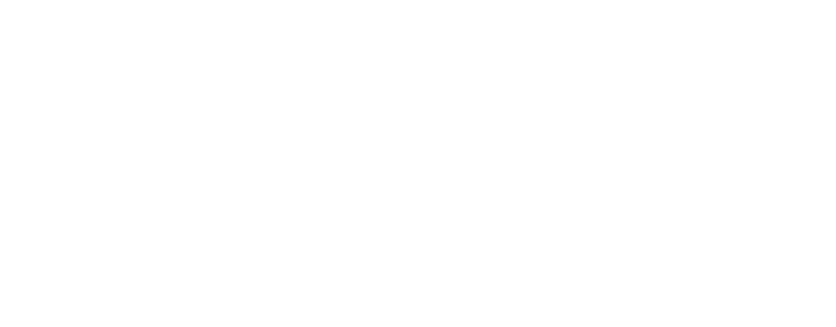 Ex Novo Brewing logo