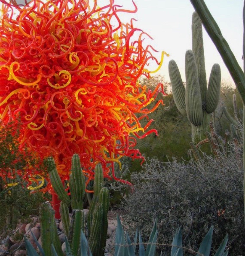 Alternate image for crew member Cindy