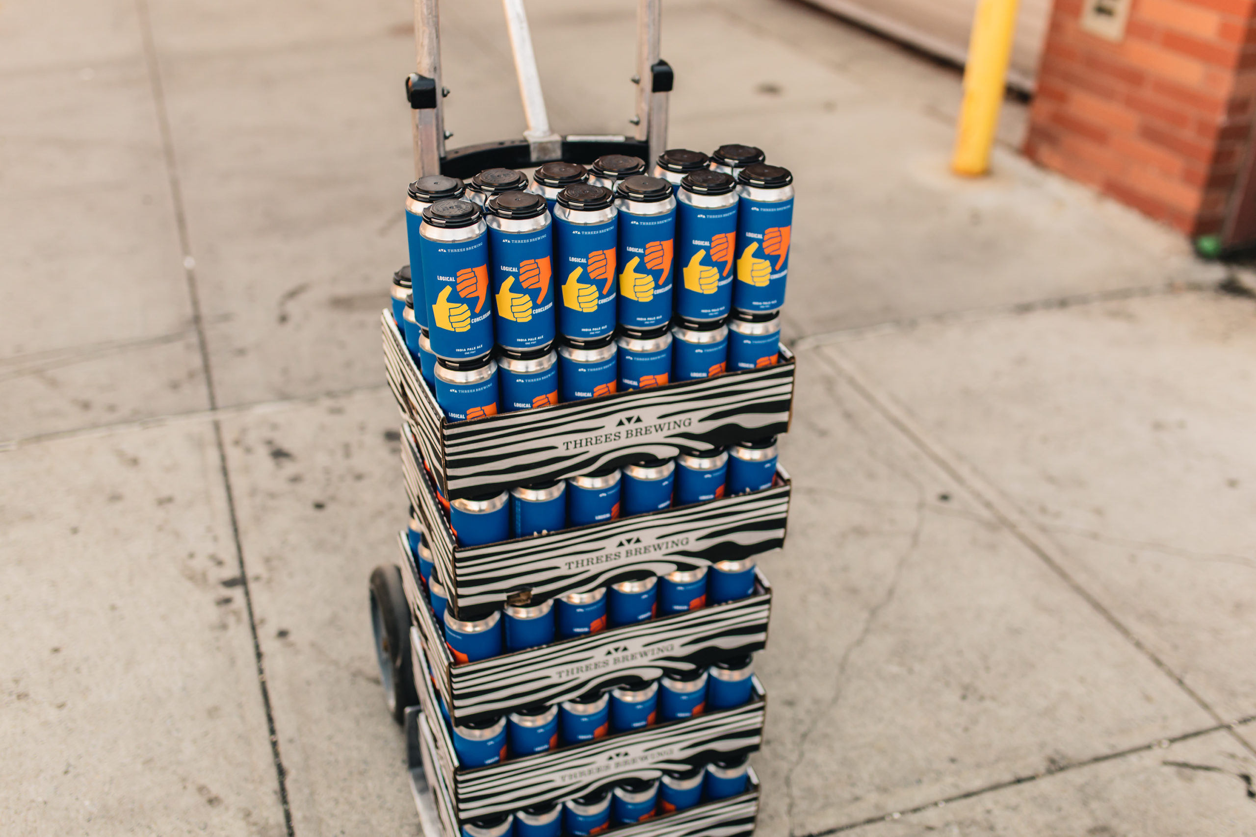 Threes-Brewing_Logical-Cases_Pint_Cory-Smith