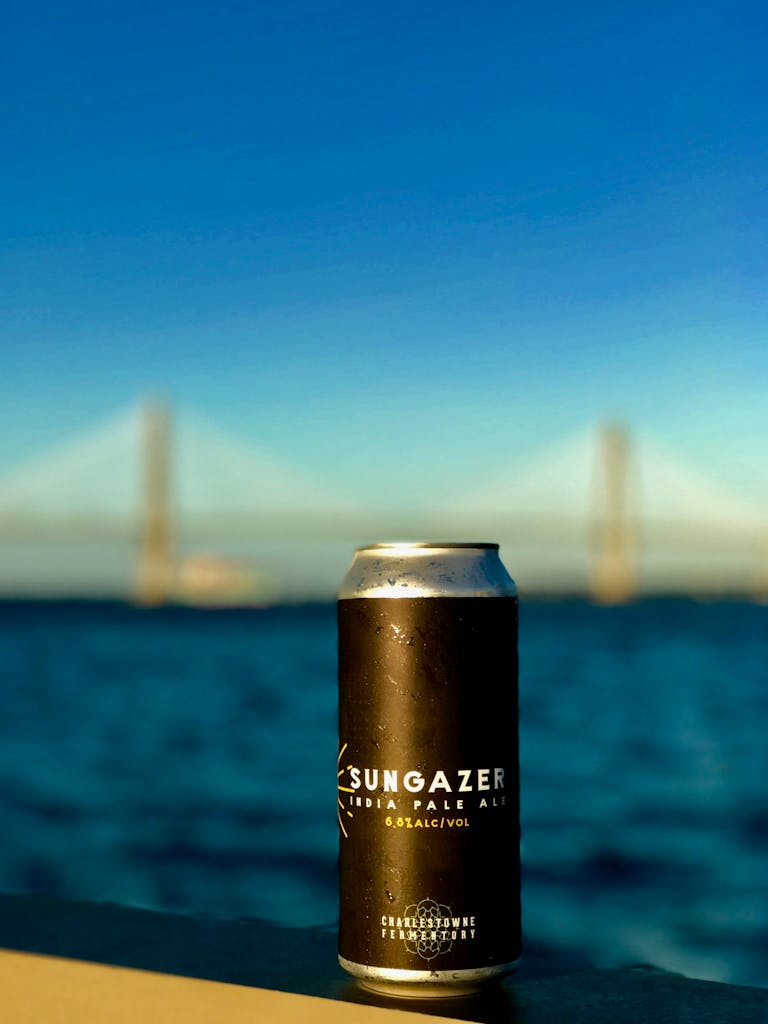sungazerbridge1