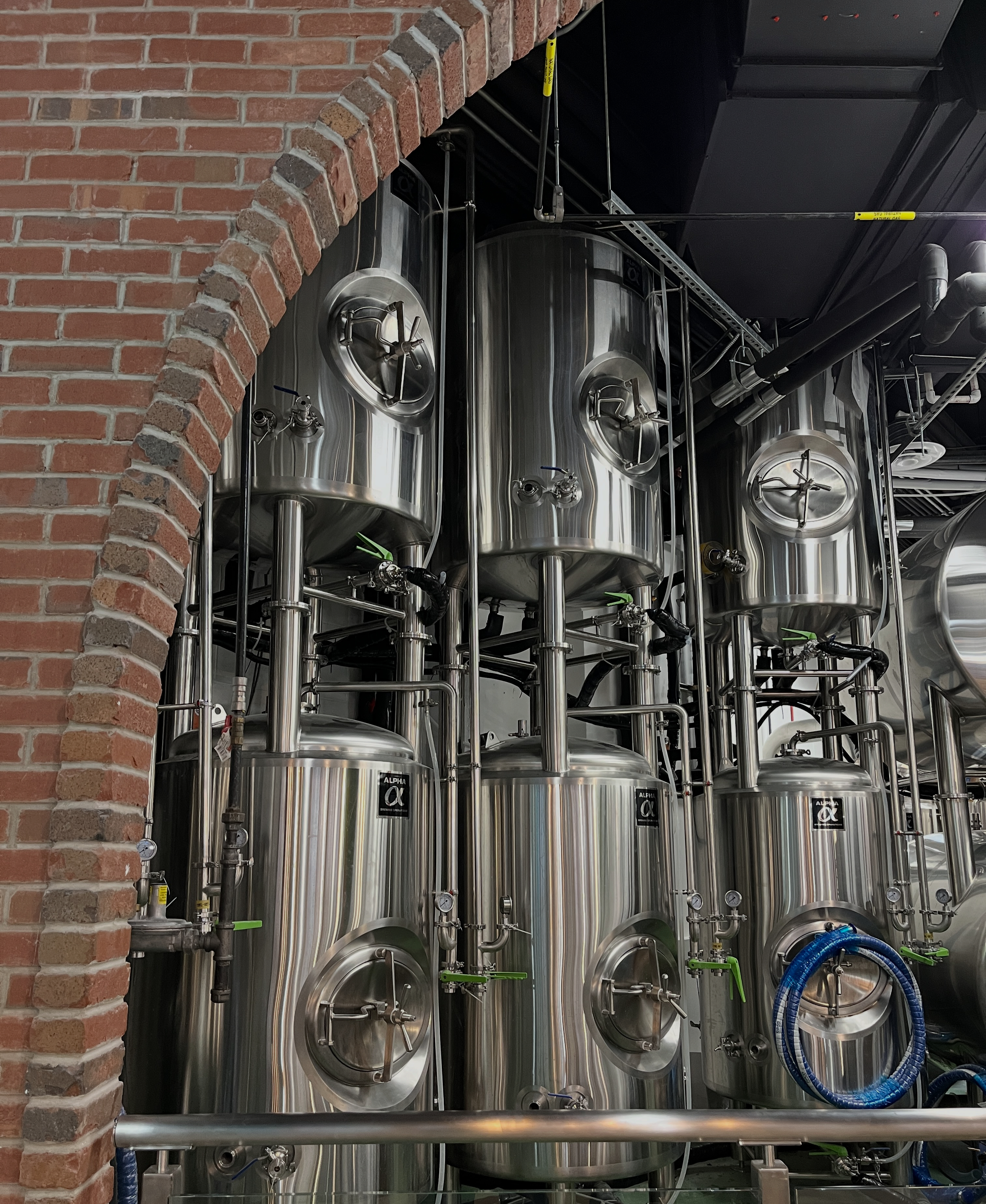 Live Music: Torben Mucchetti