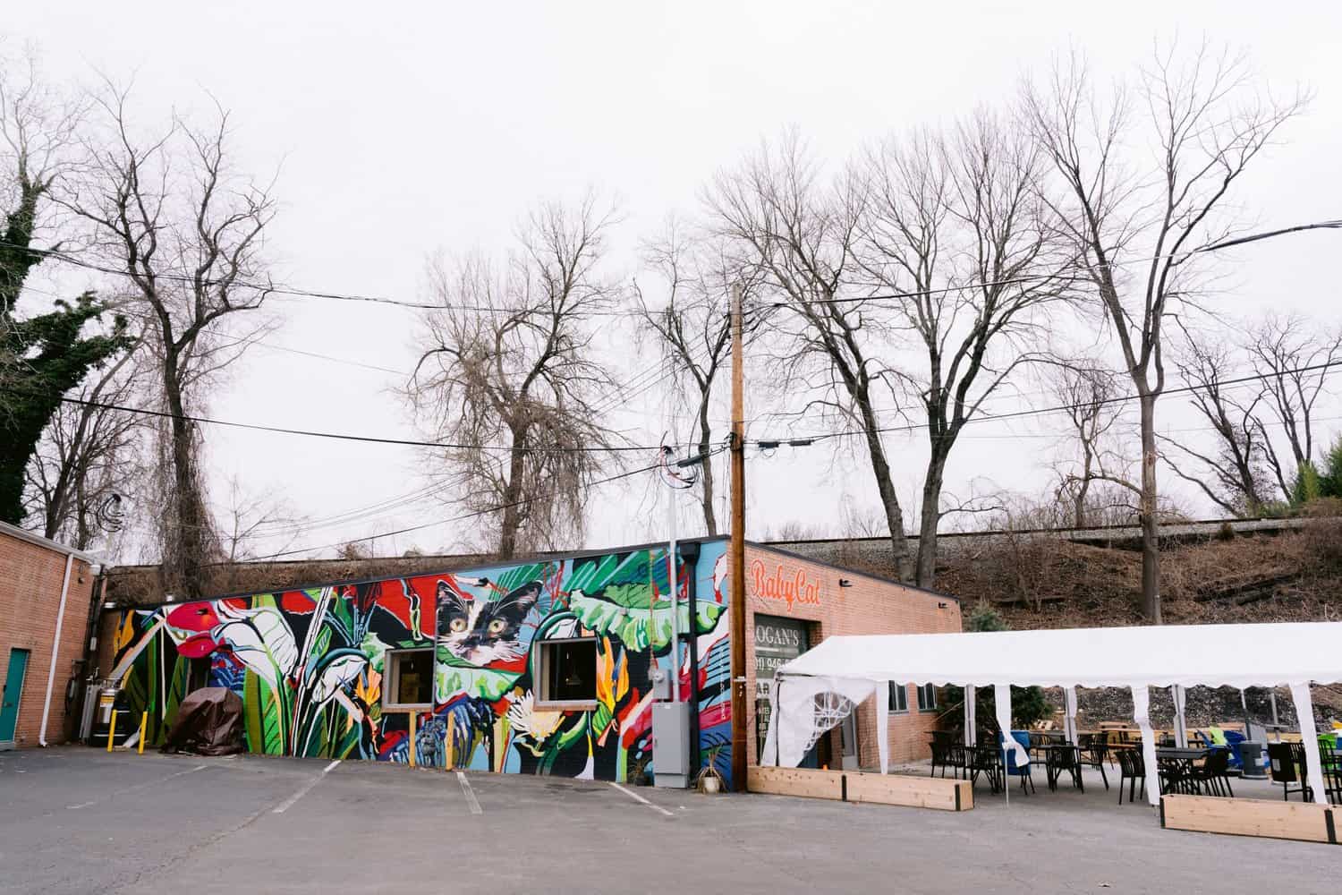 Exterior photo of Babycat Brewery front brick facade and painted mural