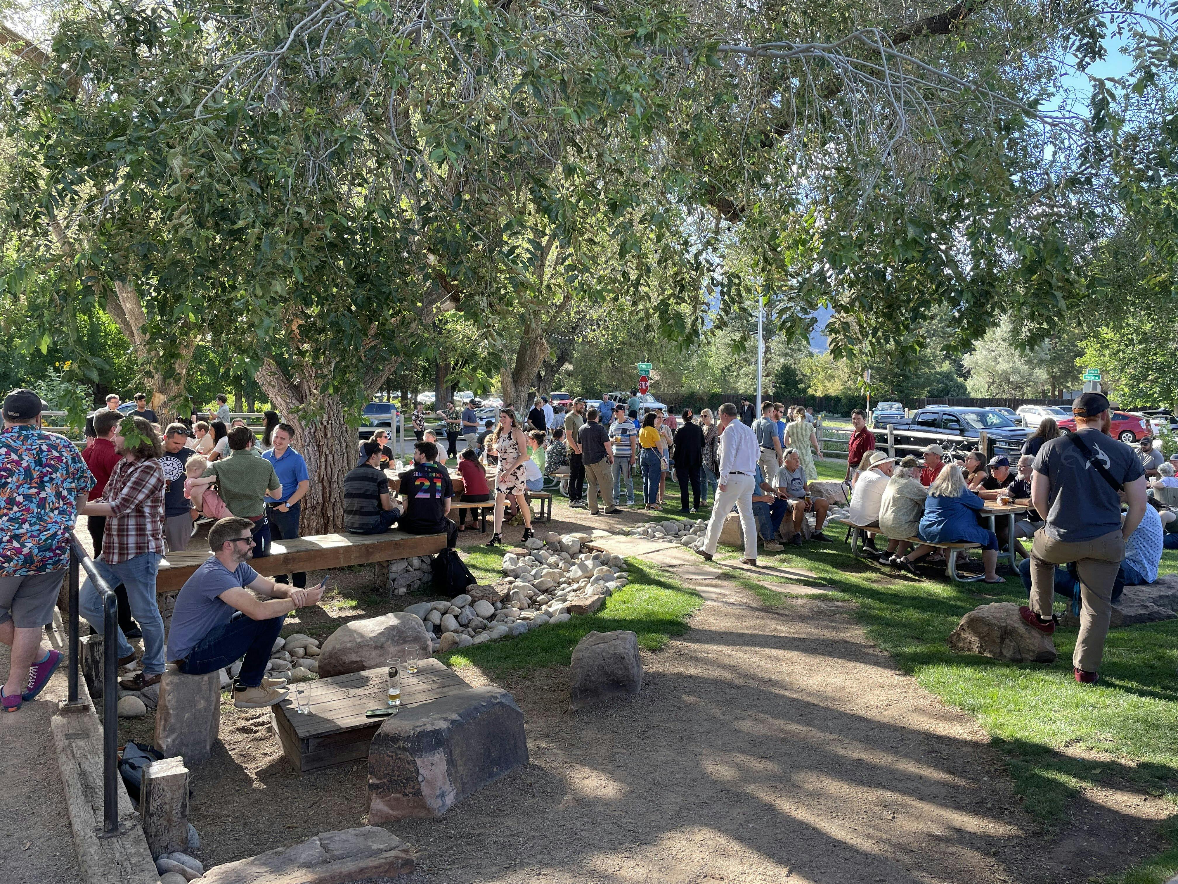 A group of people outside under. shady tree on a sunny day