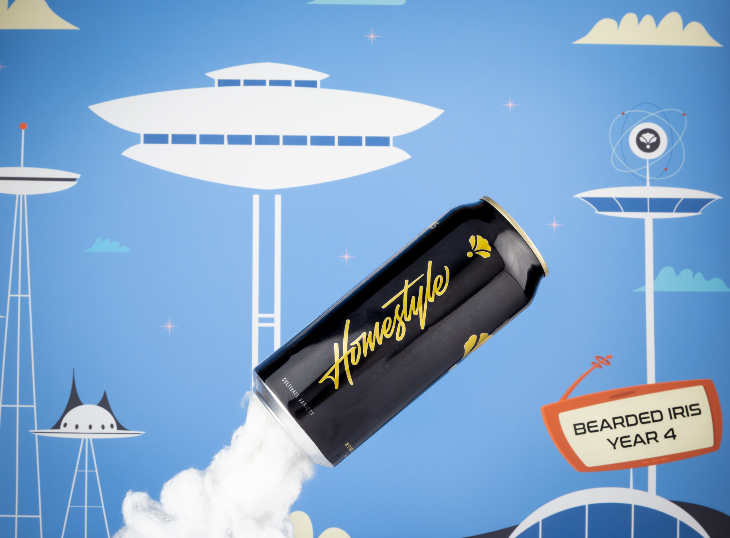 Happy Anniversary, Bearded Iris