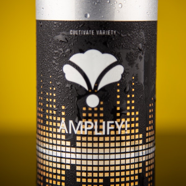 AMPLIFY! AMPLIFY!