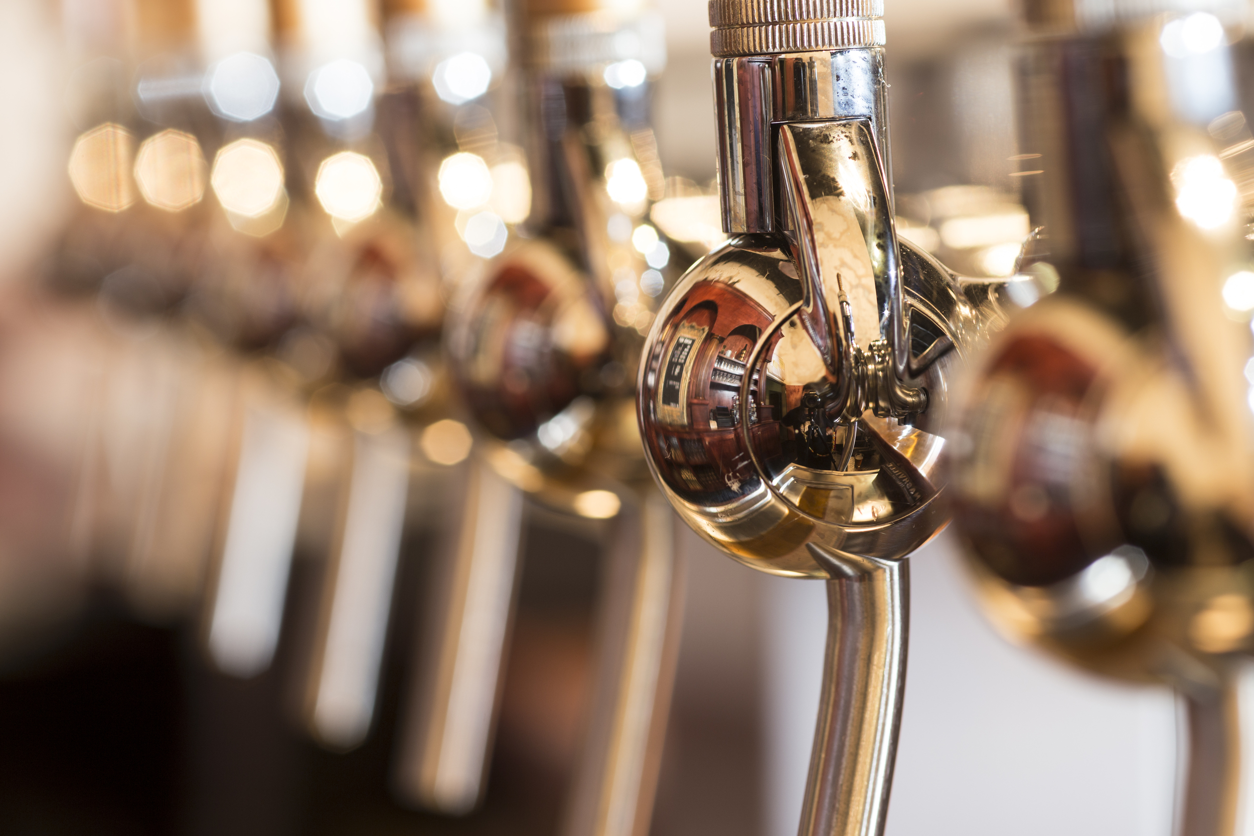 Bearded Iris Brewing 05