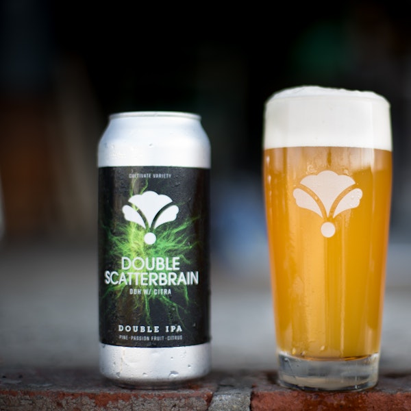 DOUBLE SCATTERBRAIN DDH-CITRA DOUBLE SCATTERBRAIN DDH-CITRA