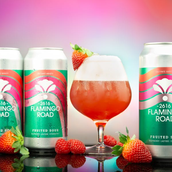 flamingo road flamingo road