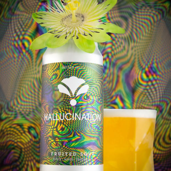 hallucination_ hallucination_