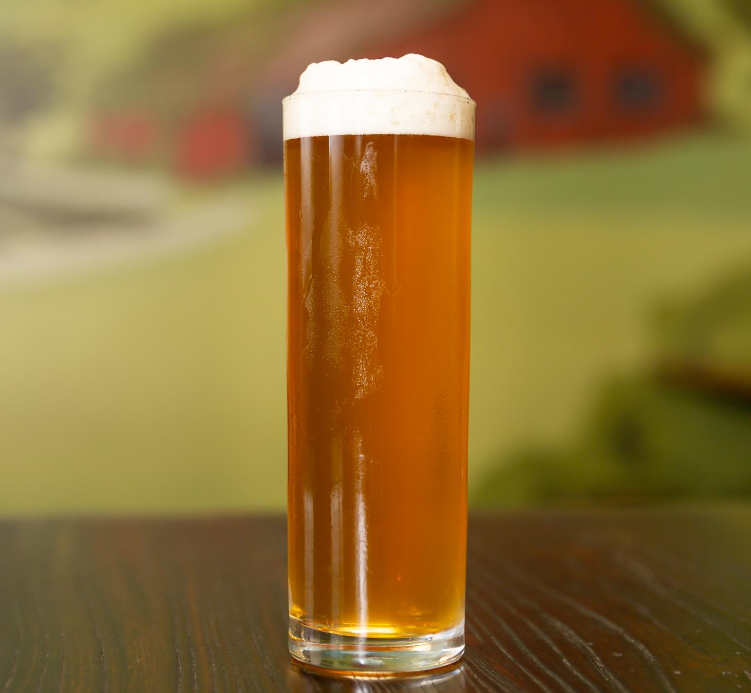 Image or graphic for Foeder Aged Wishing Tree