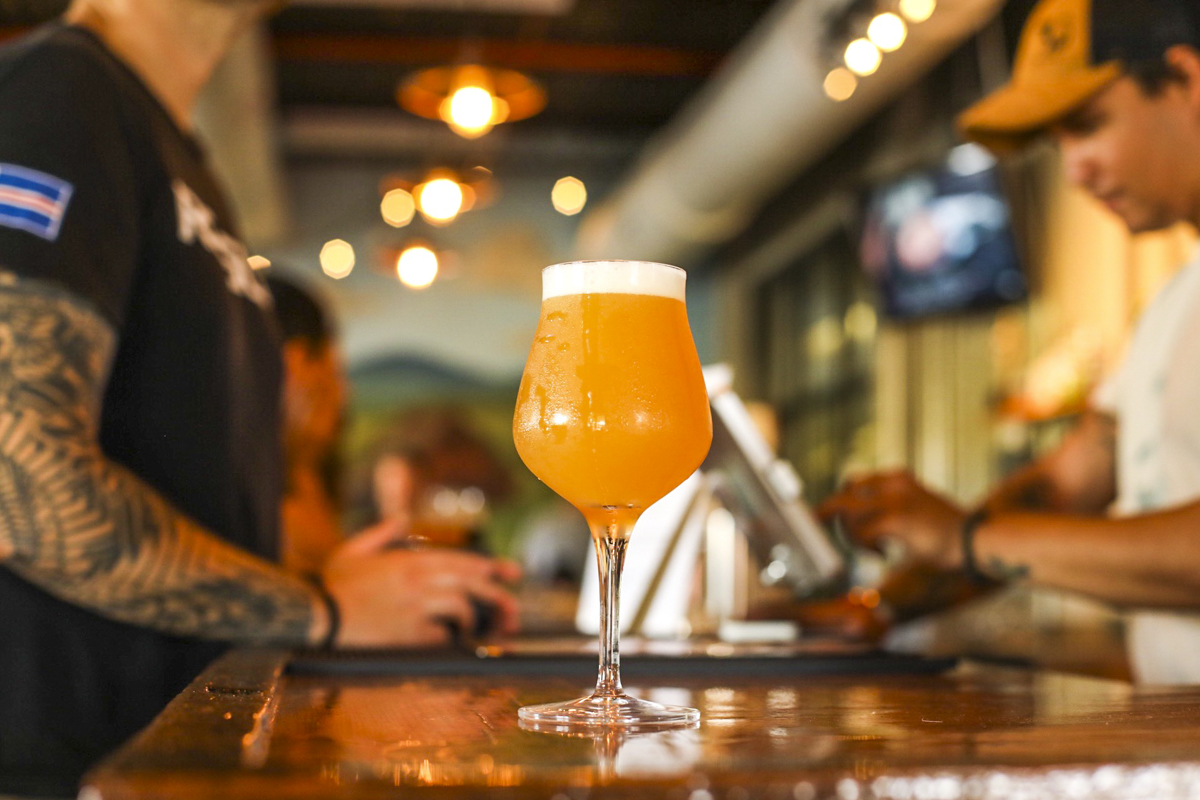 324 of the Best IPAs, Blind-Tasted and Ranked