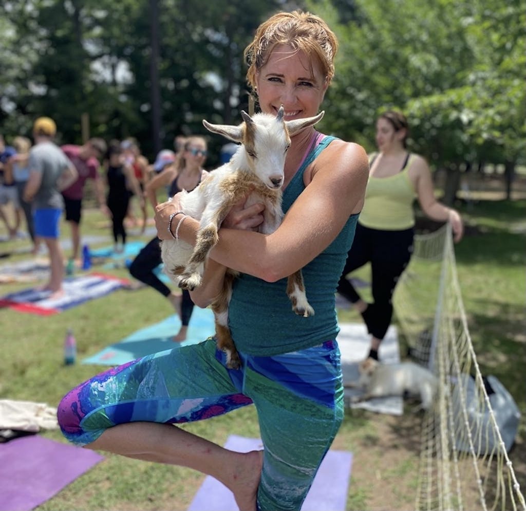 Goat Yoga Image