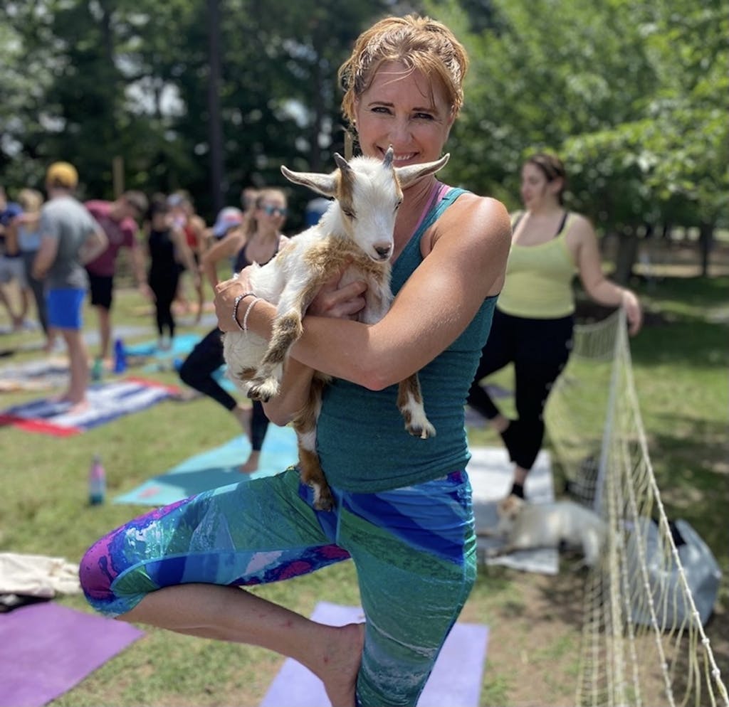 Goat Yoga Goat Yoga Image