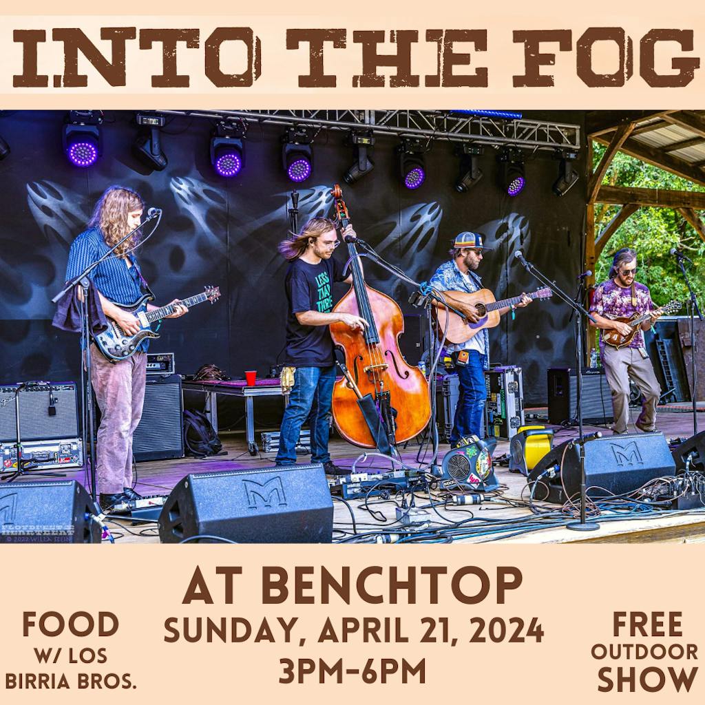 Into the Fog Post Into the Fog Graphic