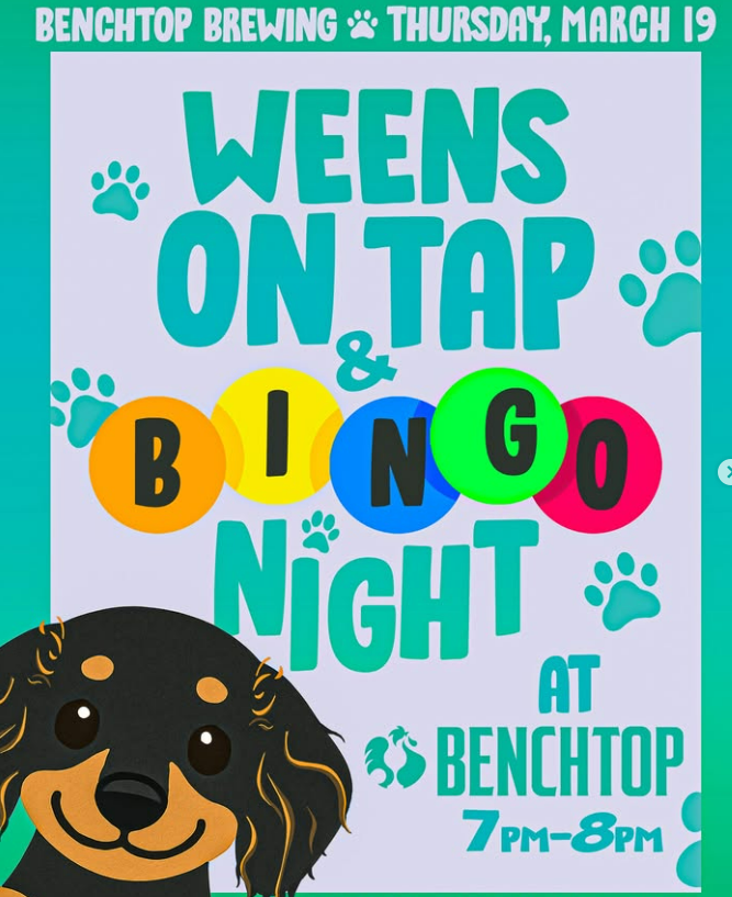 Screenshot 2026-03-04 121155